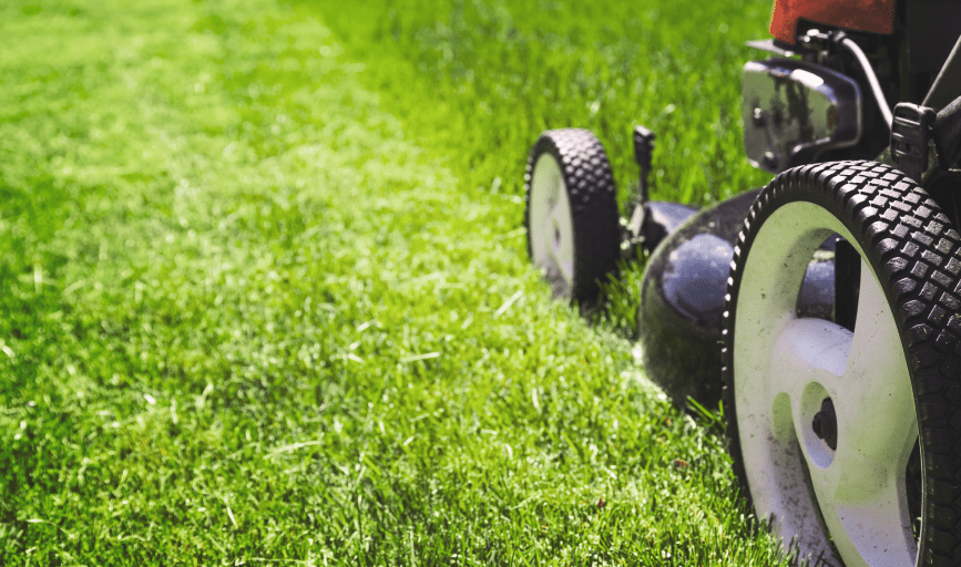 Mannys Landscape and Lawn Care